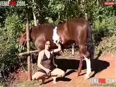 Amateur babe sucks horse cock in really hot manners